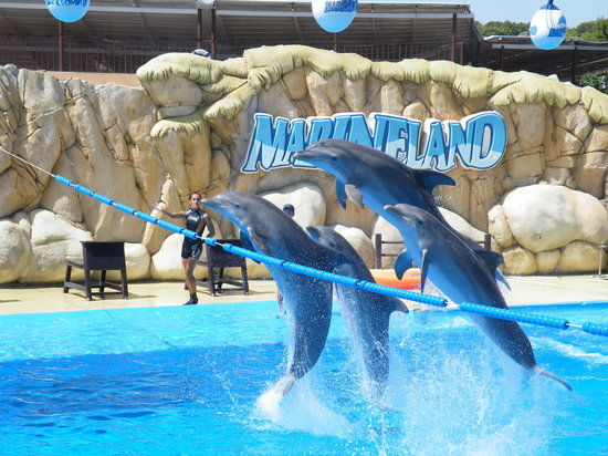 Morski park rozrywki Marineland Mallorca